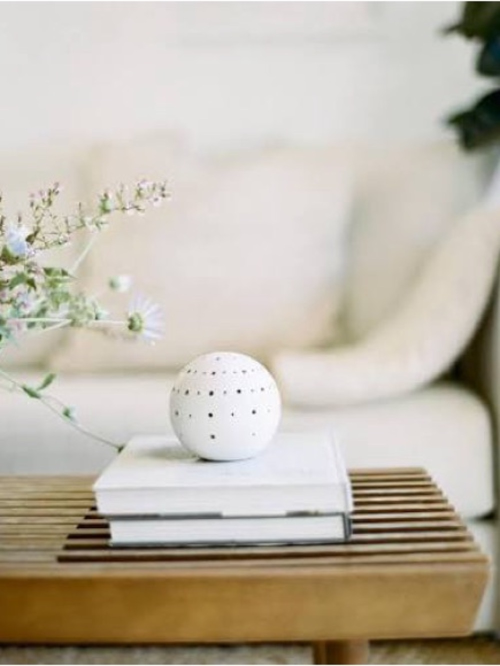 Jenni kayne ceramic